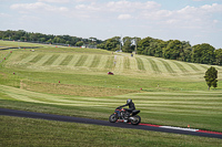 Lower Group Black Bikes